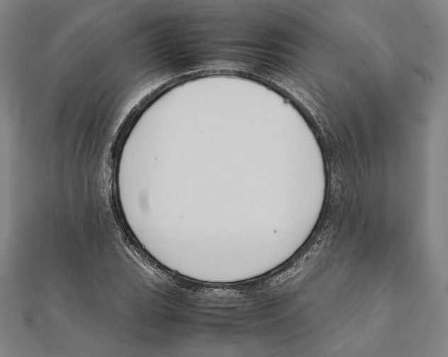 X0000111651119200908141245
