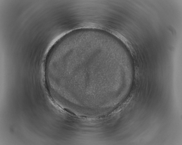 X0000111651120200908141245