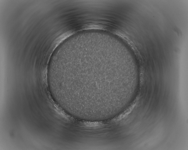 X0000111651121200908141245