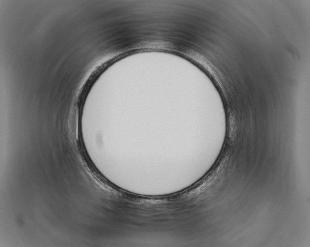 X0000111651123200908141245