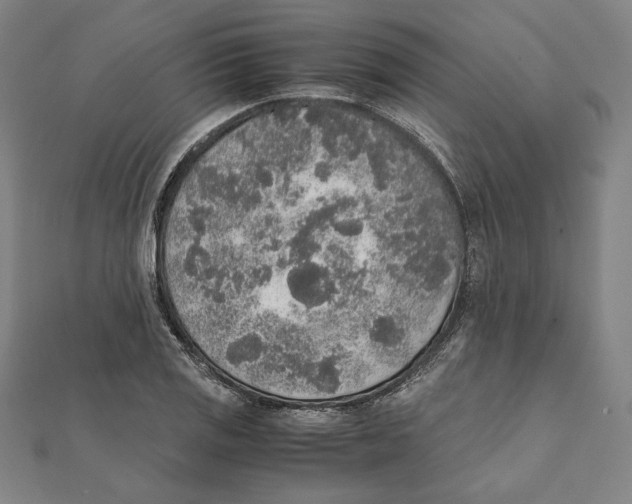 X0000111651125200908141245
