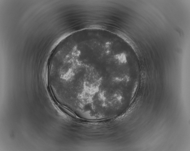 X0000111651127200908141245