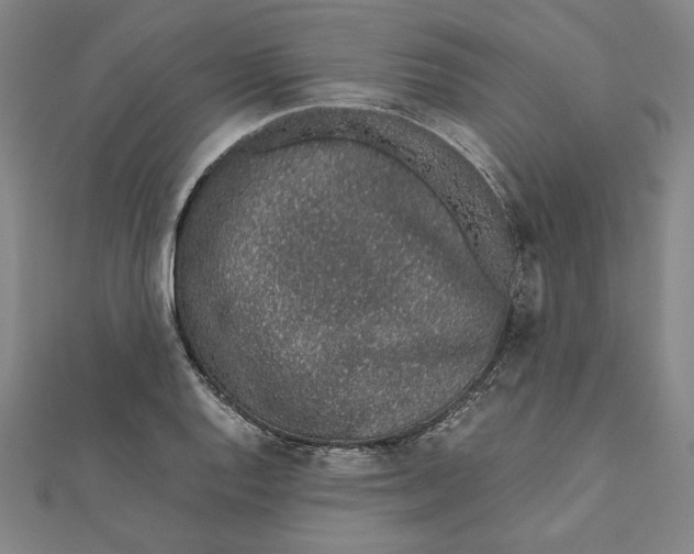 X0000111651128200908141245