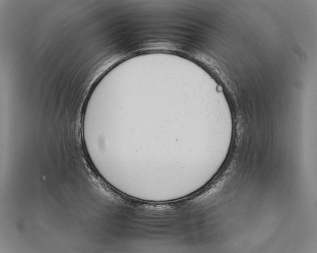 X0000111651129200908141245