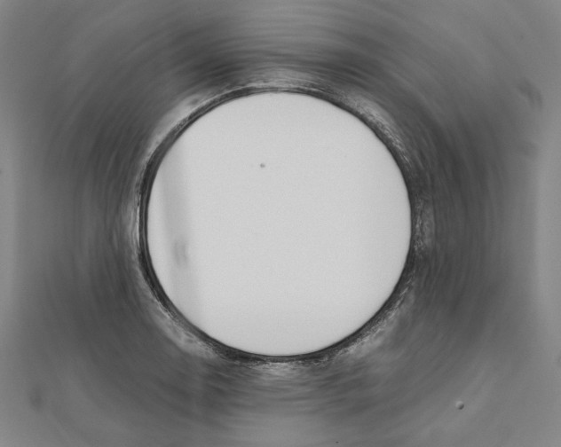X0000111651130200908141245