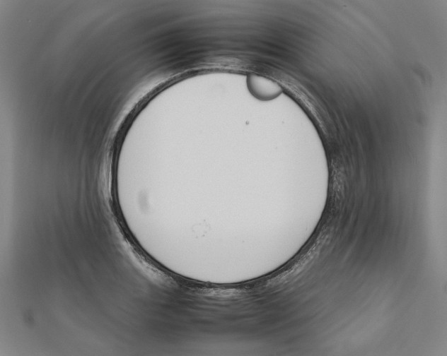 X0000111651131200908141245