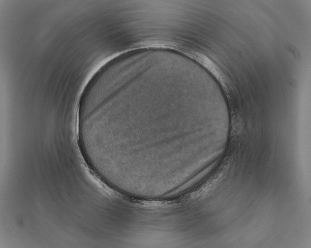 X0000111651132200908141245
