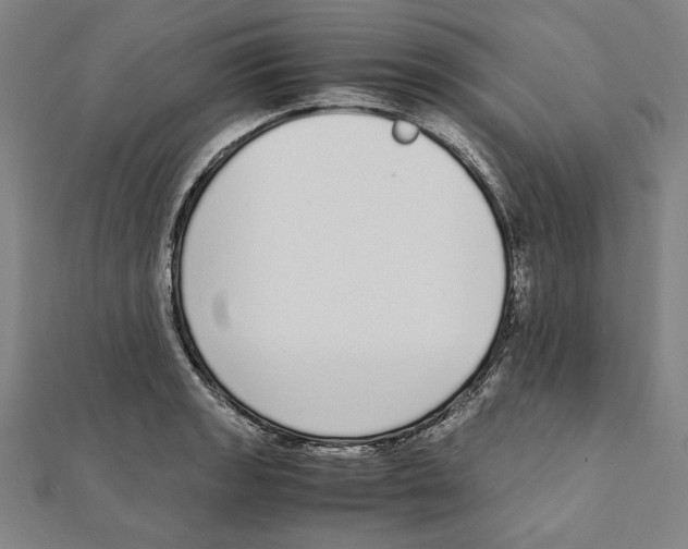 X0000111651133200908141245