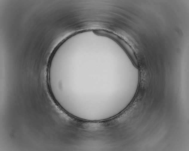 X0000111651134200908141245