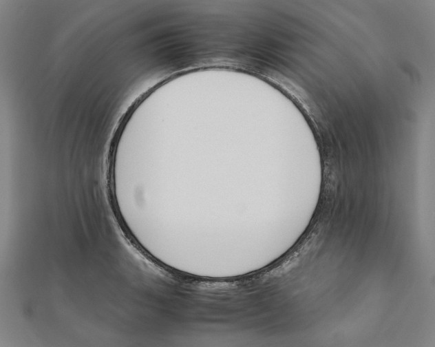 X0000111651135200908141245