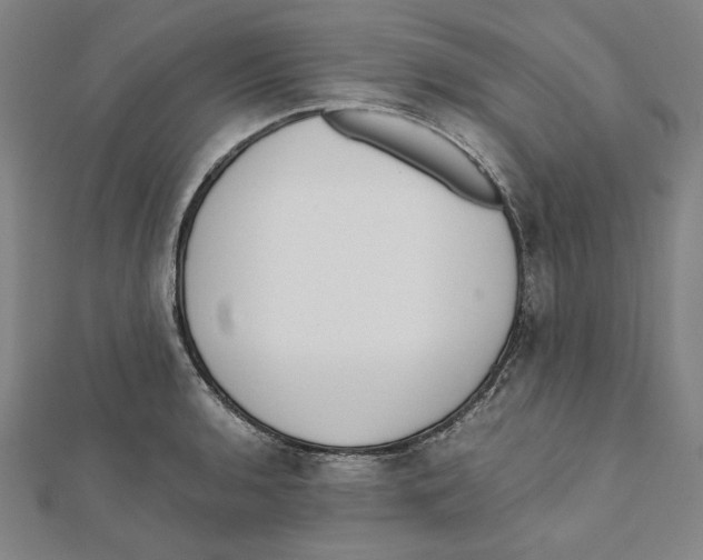 X0000111651136200908141245