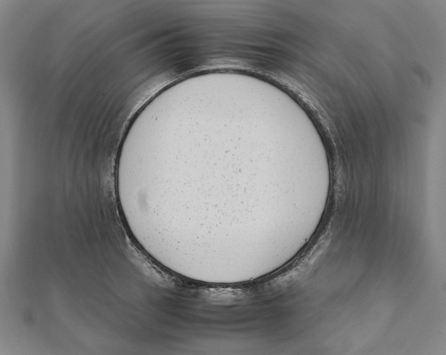 X0000111651137200908141245