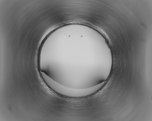 X0000111651138200908141245