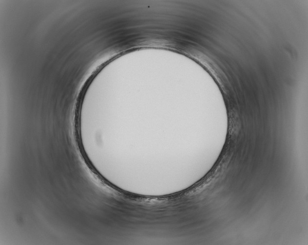 X0000111651139200908141245