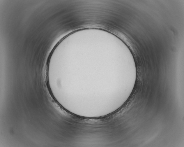 X0000111651140200908141245