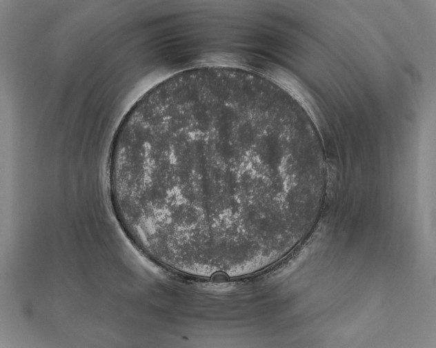 X0000111651141200908141246