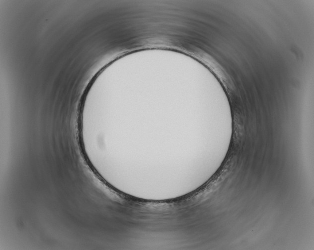 X0000111651142200908141246