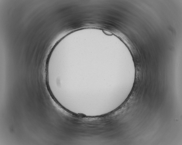 X0000111651143200908141246