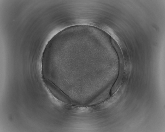 X0000111651144200908141246