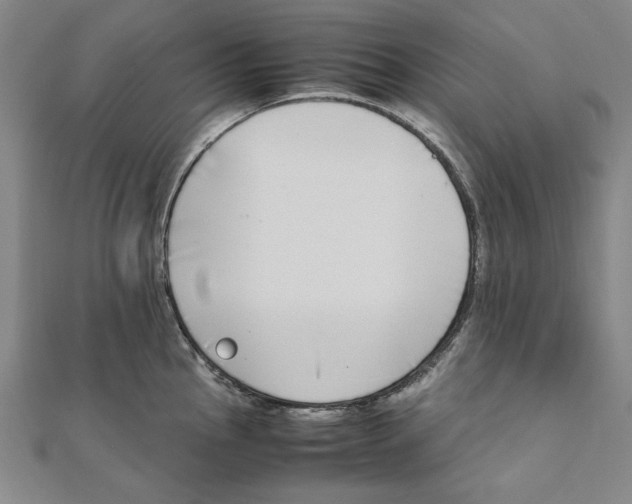 X0000111651145200908141246