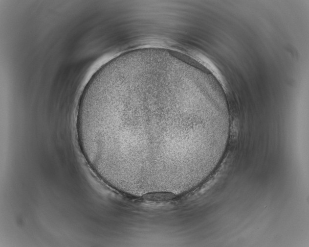 X0000111651146200908141246