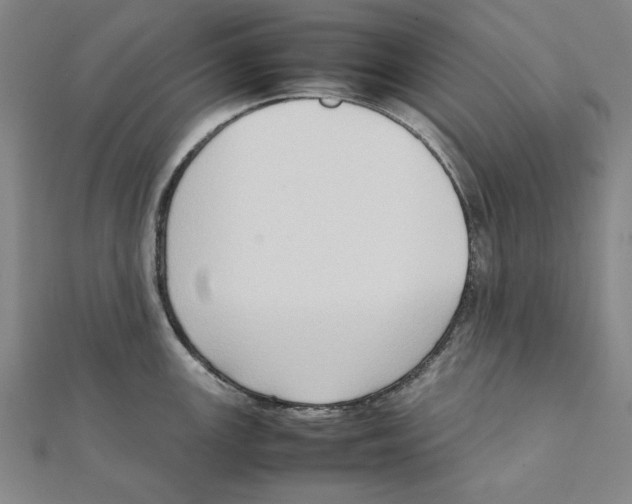 X0000111651147200908141246
