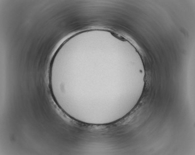 X0000111651148200908141246