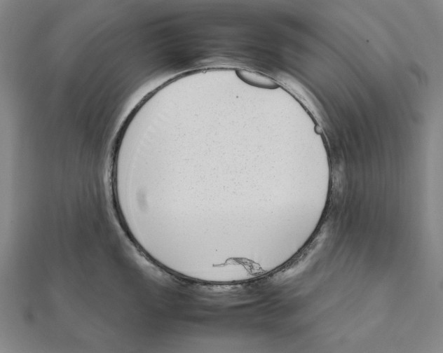 X0000111651149200908141246