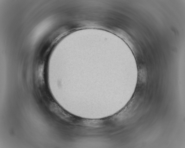 X0000111651150200908141246