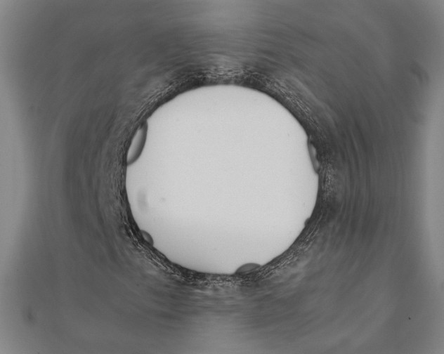X0000111651153200908141245