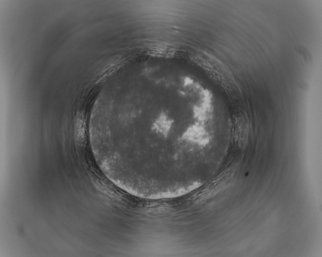 X0000111651154200908141245