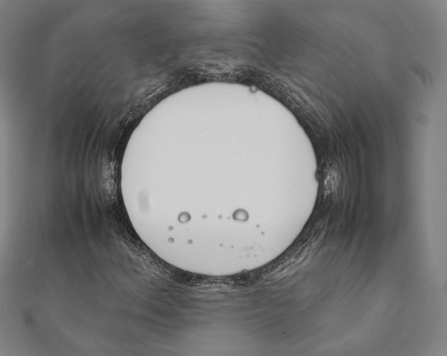 X0000111651156200908141245