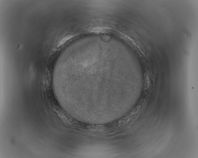 X0000111651158200908141245
