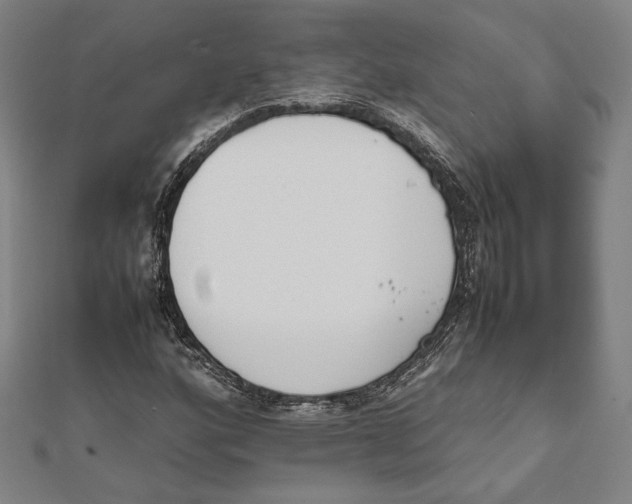 X0000111651160200908141245