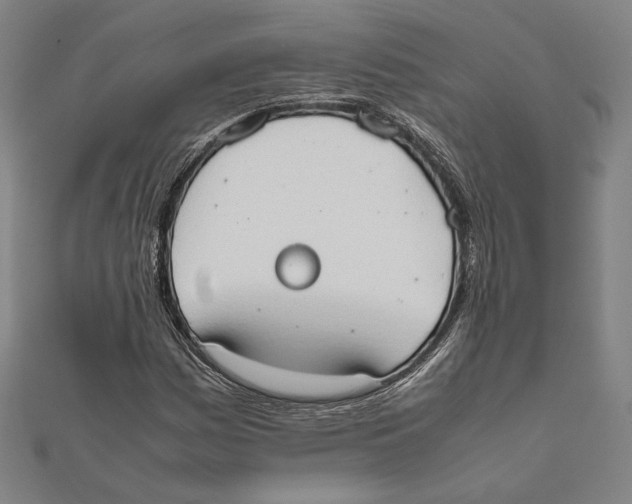 X0000111651161200908141245