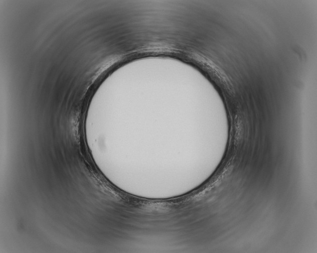 X0000111651162200908141245