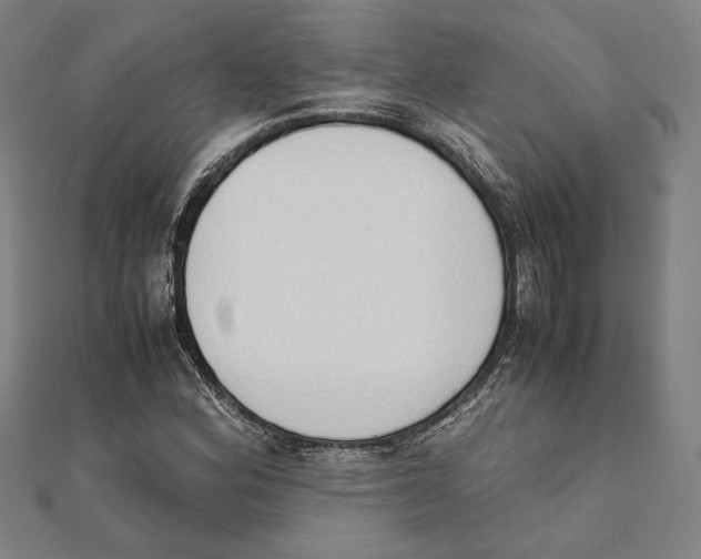 X0000111651164200908141245