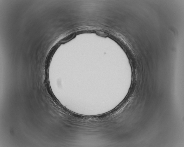 X0000111651165200908141245