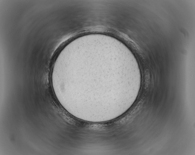 X0000111651166200908141245