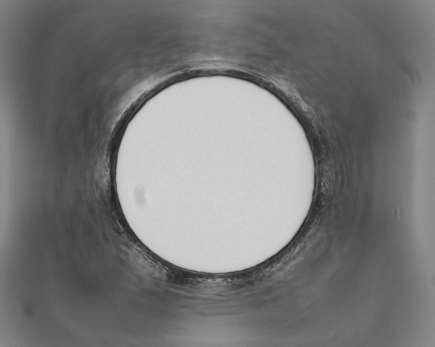 X0000111651167200908141245