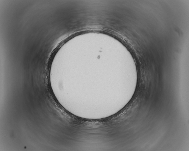 X0000111651168200908141245