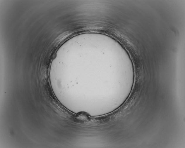 X0000111651169200908141245