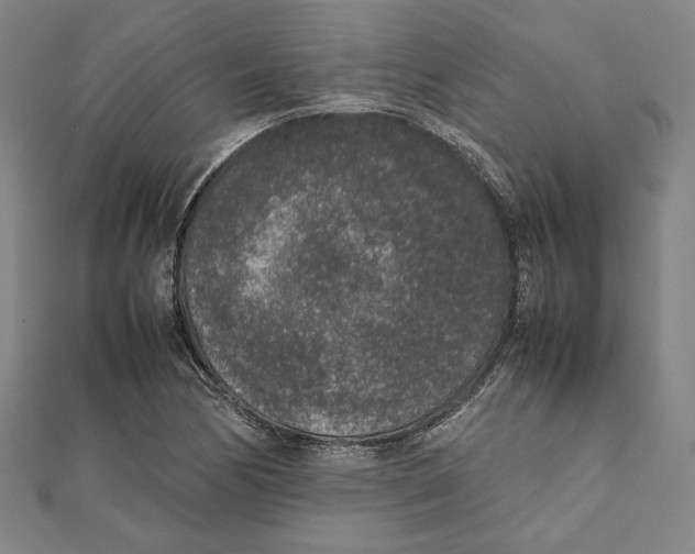 X0000111651170200908141245