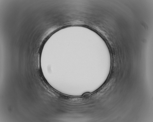 X0000111651171200908141245