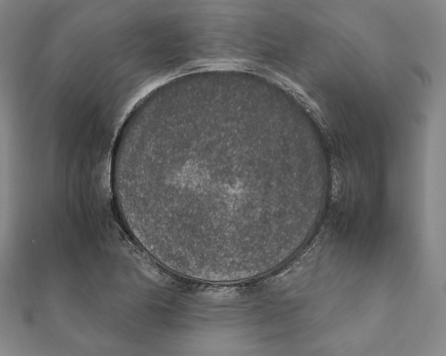 X0000111651174200908141245