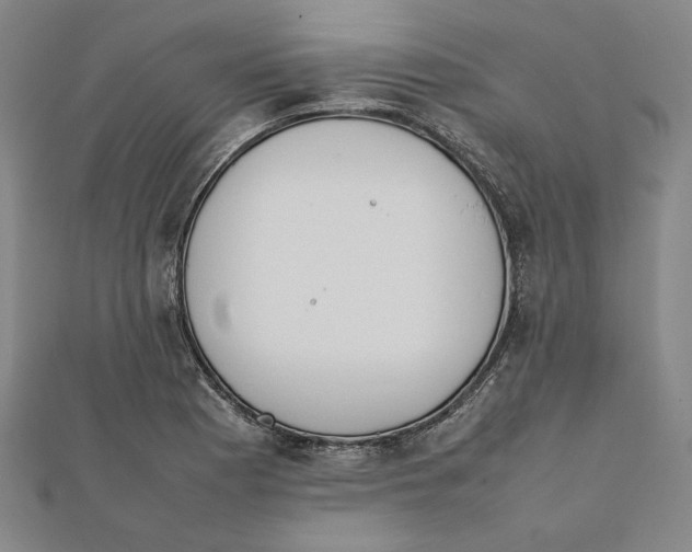 X0000111651177200908141245