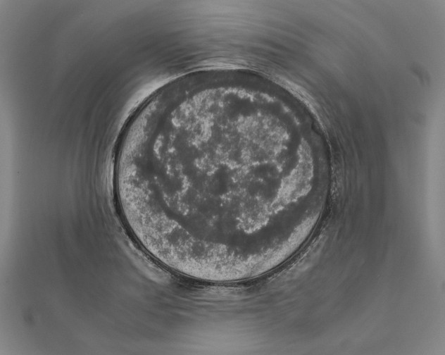 X0000111651179200908141245