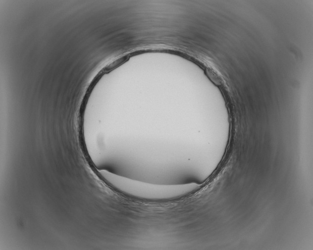 X0000111651181200908141245
