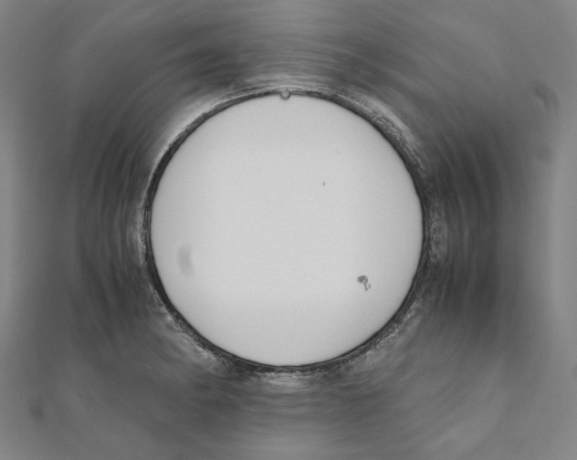 X0000111651182200908141245