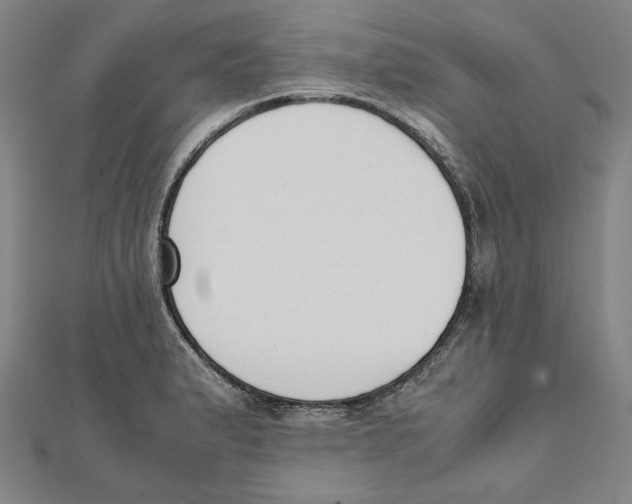 X0000111651183200908141245